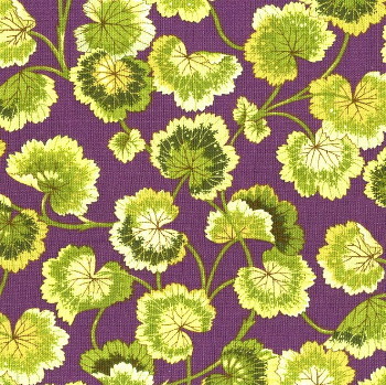 feuilles géranium, vertes, fond violet