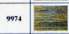 M4820-9974 MULTI: bleu clair, jaune orange, vert