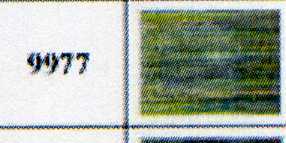 M4820-9977 MULTI: bleu clair, jaune, vert, marron
