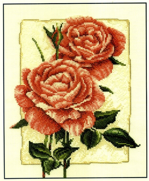 Rose en fleur   -60%