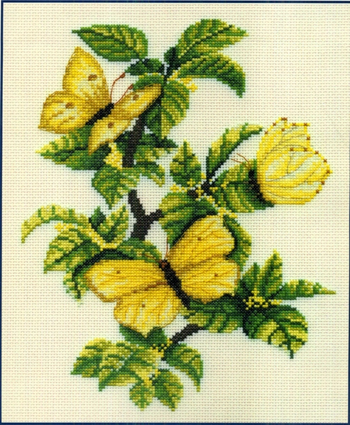 Papillon citron et Nerprun   -60%