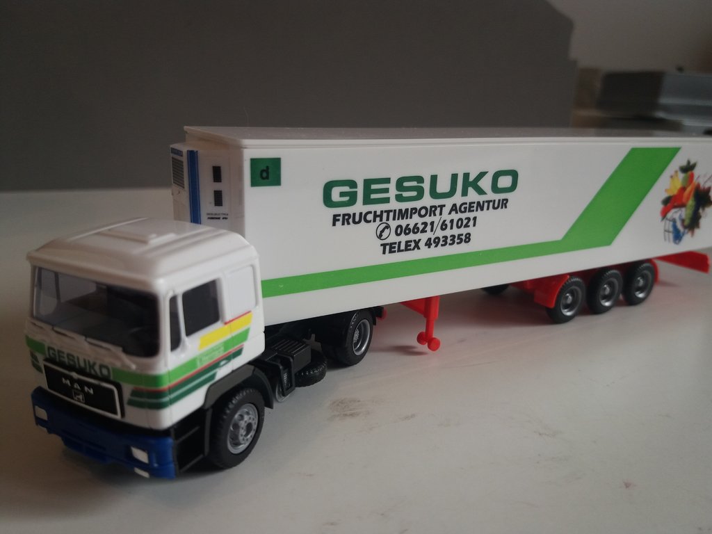 8030-ERMN-14  MAN  GESUKO