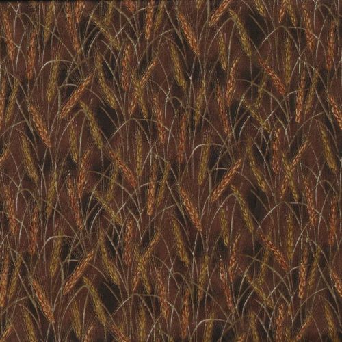 EGY-11955-1 épis de blé, fond marron