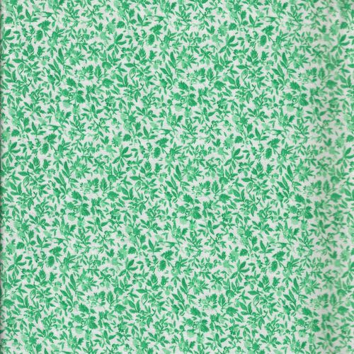 12008-59 Pts feuillage vert, Fond balnc,